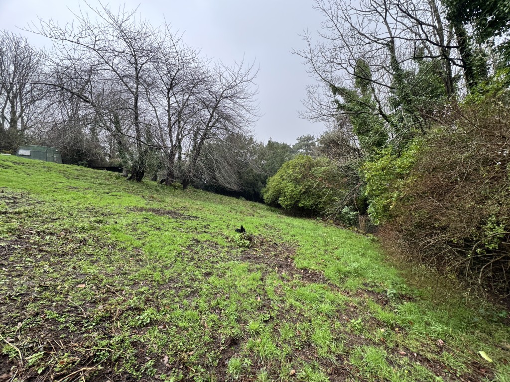 Lot: 16 - EXMOOR EDGE PASTURE WITH MAINS WATER AND VIEWS - More field